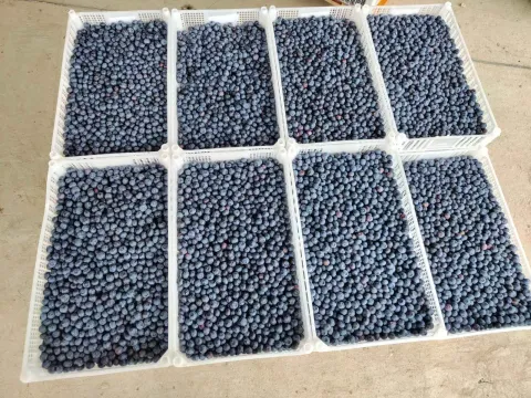 Prodaja, plac, 120000m², Centar, Šabac - image 8