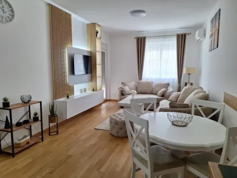 Izdavanje, jednosoban stan, 48m², Stari Aerodrom, Podgorica - image 13