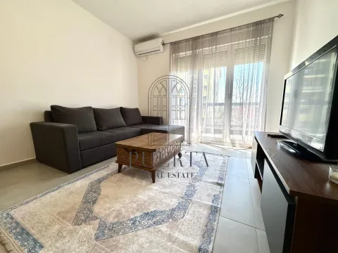 Izdavanje, jednosoban stan, 48m², Stari Aerodrom, Podgorica - image 2