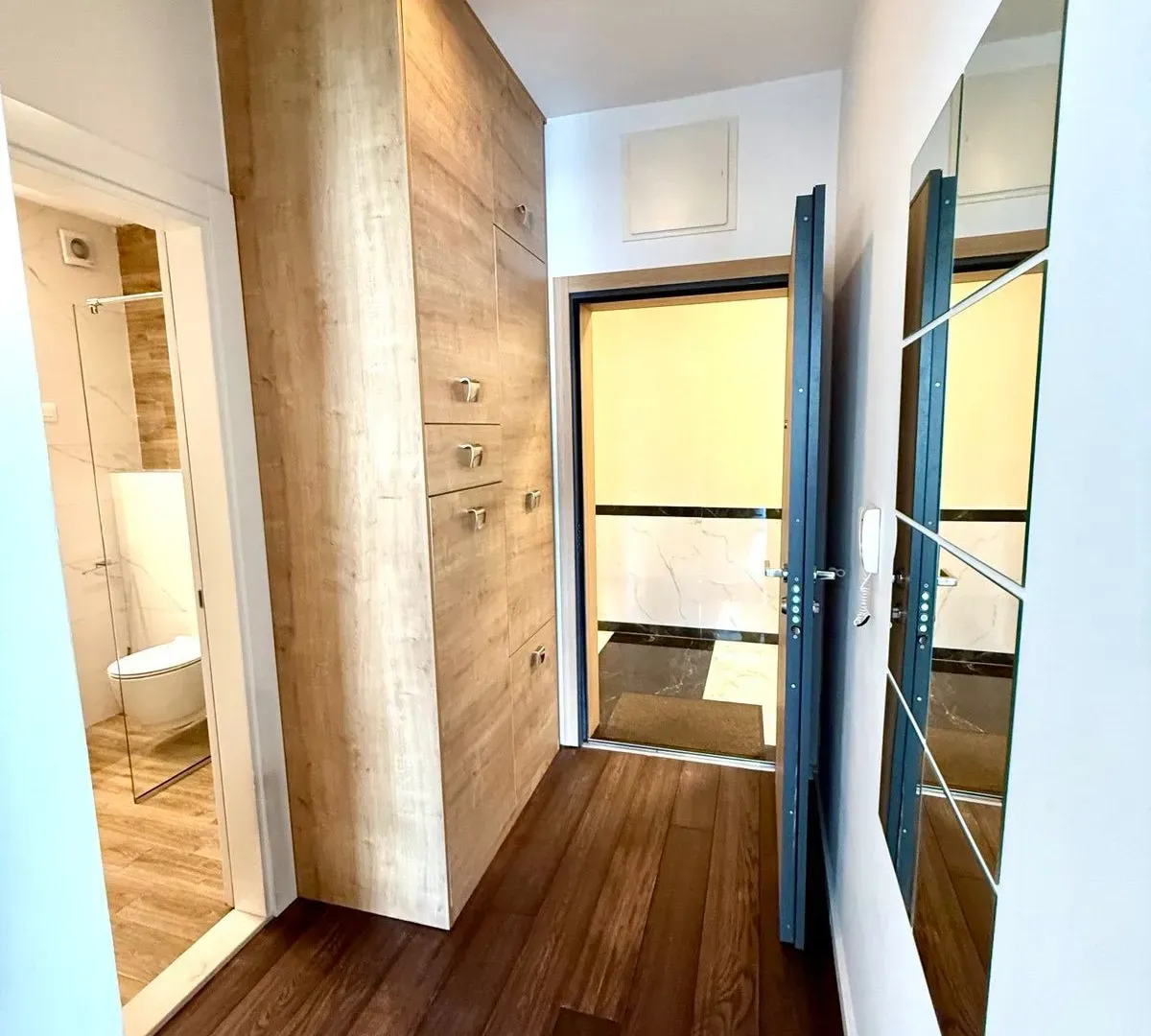 Rent, one bedroom apartment, 48m², Vezirov Most, Podgorica