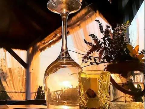 Prodaja, kuća, 300m², Banoštor, Beočin - image 7