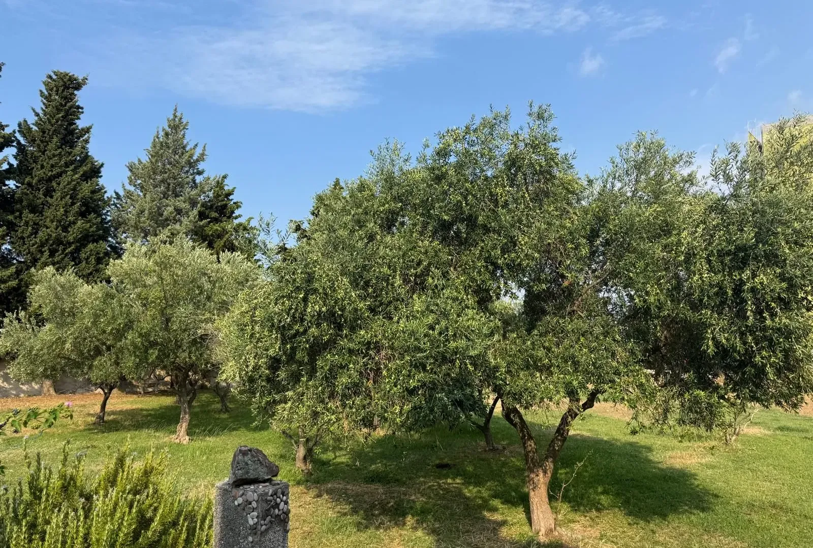 Sale, land lot, 5000m², Čeluga, Bar
