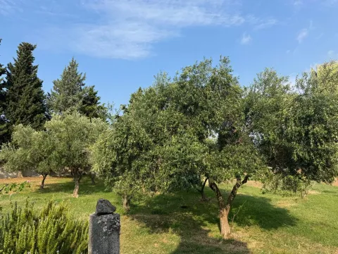 Sale, land lot, 5000m², Čeluga, Bar - image 5