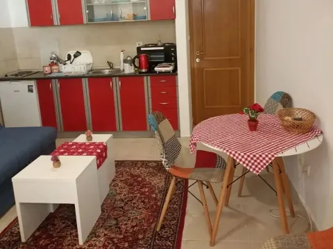 Rent, one bedroom apartment, 21m², Rozino, Budva - image 15