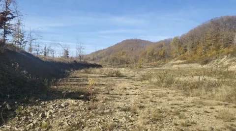 Zemljište in Žirci