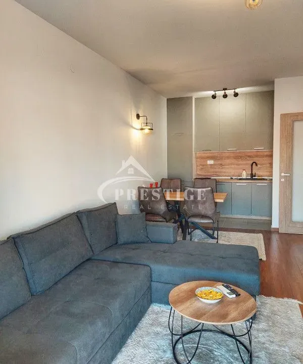 Izdavanje, jednosoban stan, 47m², Master Kvart, Podgorica