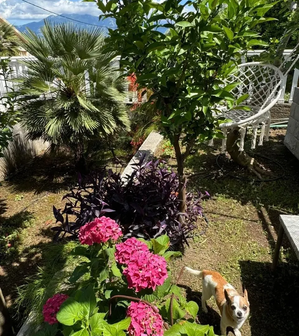 Prodaja, kuća, 118m², Krašići, Tivat
