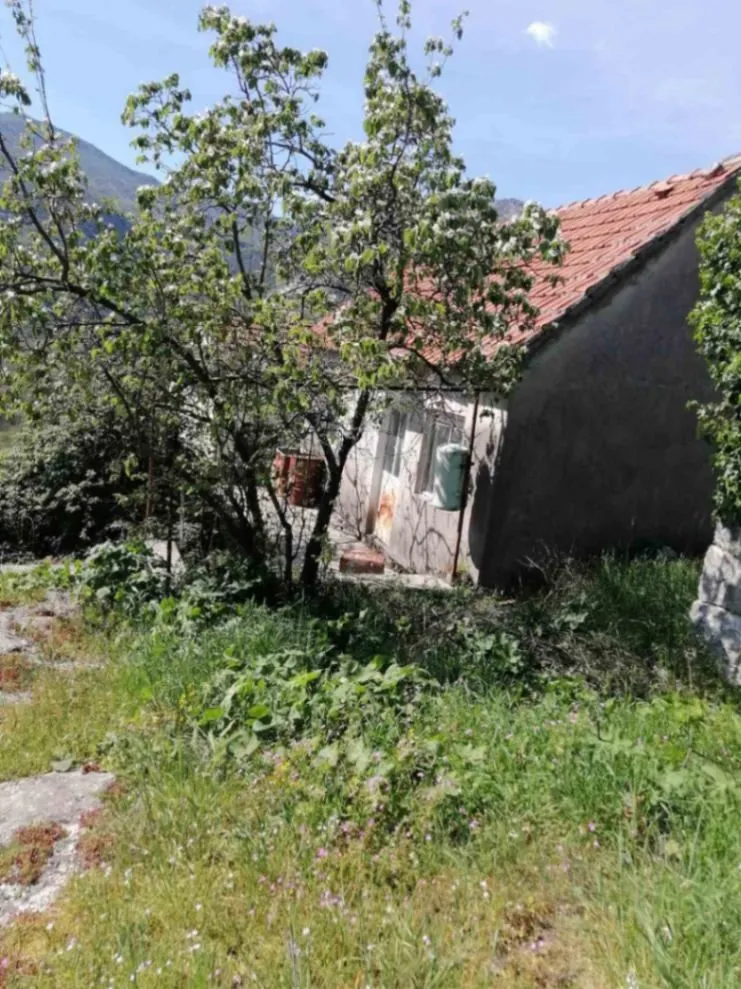 Eksterijer starije kuće sa dvorištem i zelenilom.