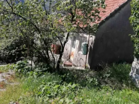 Eksterijer starije kuće sa dvorištem i zelenilom. - image 4