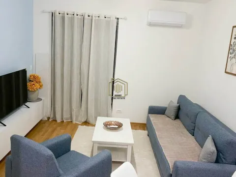 Rent, one bedroom apartment, 40m², Zabjelo, Podgorica - image 1
