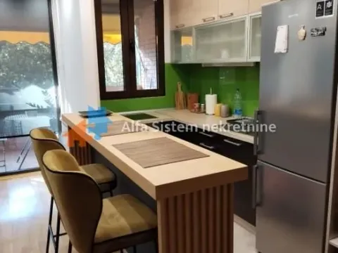 Izdavanje, stan, 46m², Višnjička Banja, Palilula Sve Podlokacije - image 5