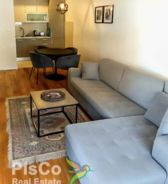 Izdavanje, jednosoban stan, 50m², Central Point, Podgorica