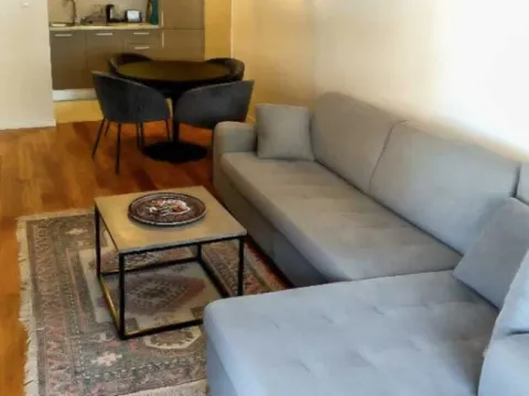 Izdavanje, jednosoban stan, 50m², Central Point, Podgorica