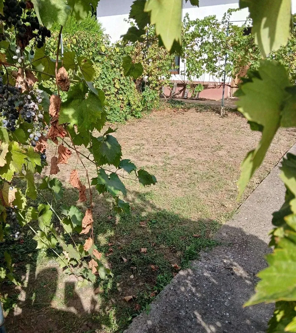 Prodaja, kuća, 145m², Centar, Bačka Topola