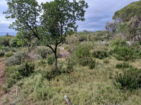 Prodaja, plac, 930m², Zagora, Kotor - image 7