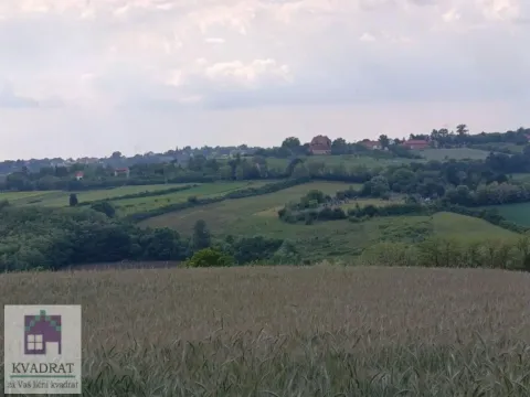 Prodaja, plac, 15000m², Jasenak, Obrenovac - image 2