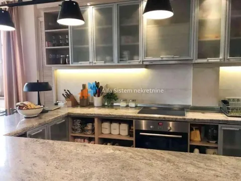 Rent, apartment, 200m², Savski Venac, Beograd - image 5