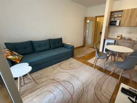 Rent, studio apartment, 26m², Blok 6, Podgorica - image 3