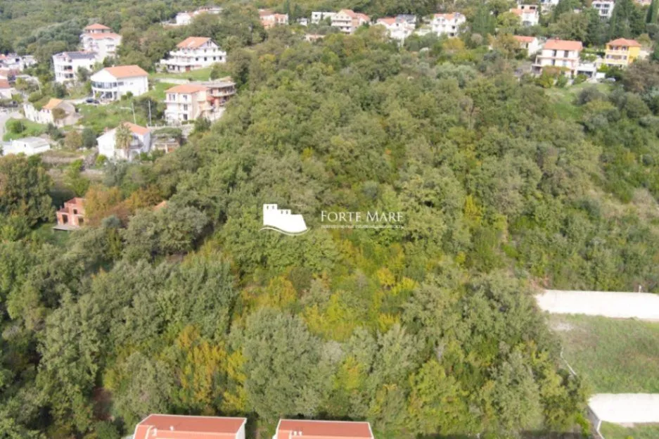 Prodaja, plac, 7800m², Topla, Herceg Novi