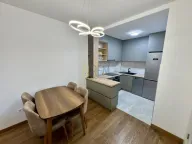 Izdavanje, jednosoban stan, 55m², Tološka šuma, Podgorica - image 12