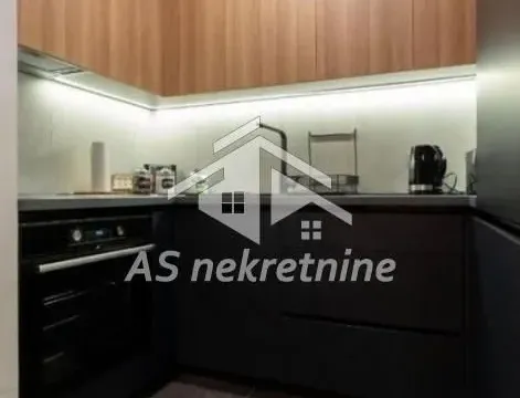 Izdavanje, dvosoban stan, 55m², Južni Bulevar, Vračar Sve Podlokacije - image 9