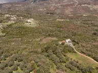 Sale, land lot, 3500m², Pečurice, Bar - image 3