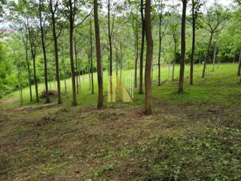 Sale, land lot, 5347m², Sremski Karlovci, Novi Sad - image 6