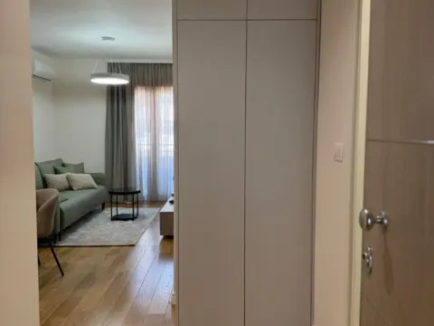 Izdavanje, jednosoban stan, 40m², Central Point, Podgorica - image 6