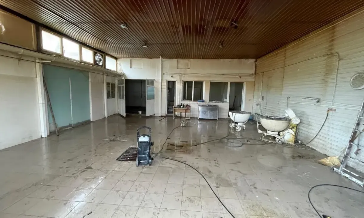 Izdavanje, poslovni prostor, 150m², Telep, Novi Sad Sve Podlokacije