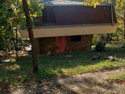 Prodaja, kuća, 70m², Mladenovac, Beograd - image 18