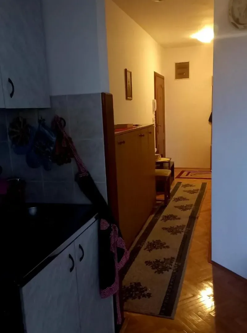 Izdavanje, dvosoban stan, 45m², Žarkovo, Beograd