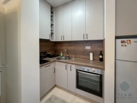 Izdavanje, jednosoban stan, 40m², Kod Big Fashion-a, Podgorica - image 4