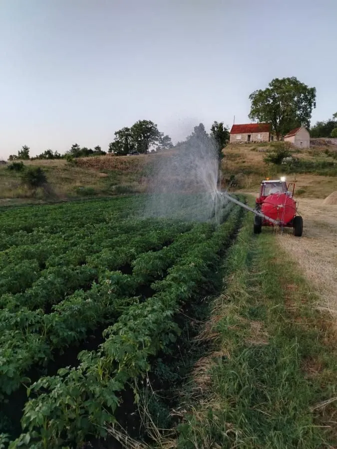 Prodaja, plac, 136000m², Dubočke, Nikšić