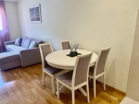 Izdavanje, jednosoban stan, 43m², Zagorič, Podgorica - image 2