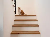 Sale, house, 130m², Kavač, Kotor - image 7