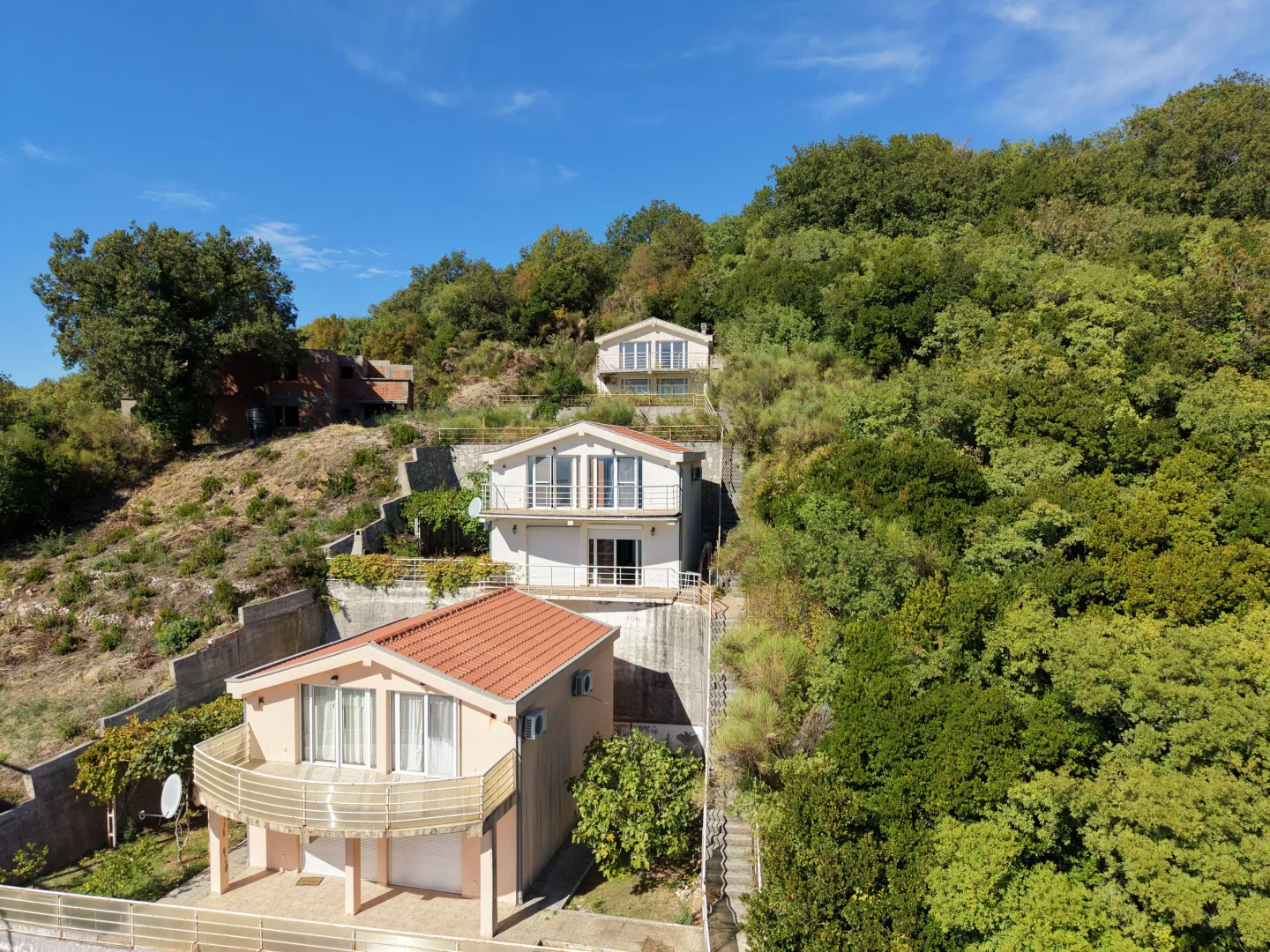 Aerial view of houses surrounded by greenery.
