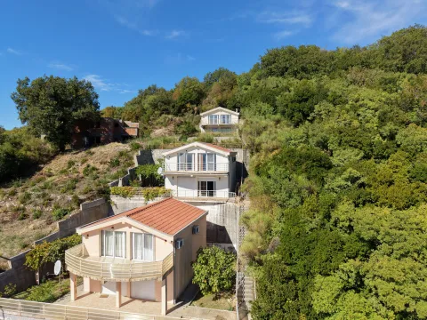 Aerial view of houses surrounded by greenery. - image 2