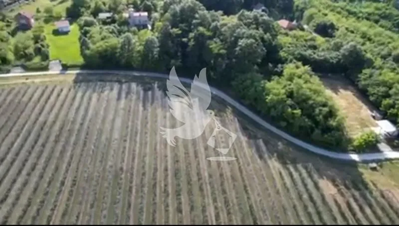Prodaja, plac, 32000m², Babe, Sopot