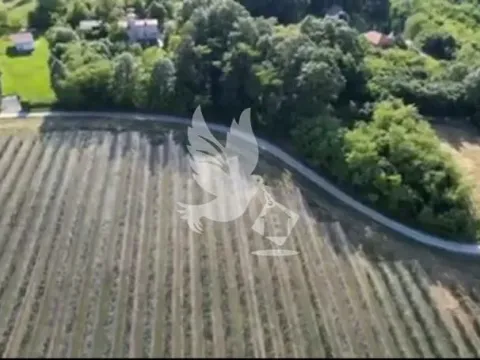 Sale, land lot, 32000m², Babe, Sopot - image 5