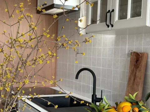 Izdavanje, jednosoban stan, 63m², Centar, Podgorica - image 8