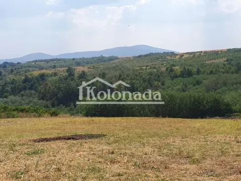 Prodaja, plac, 15800m², Mali Požarevac, Sopot - image 3