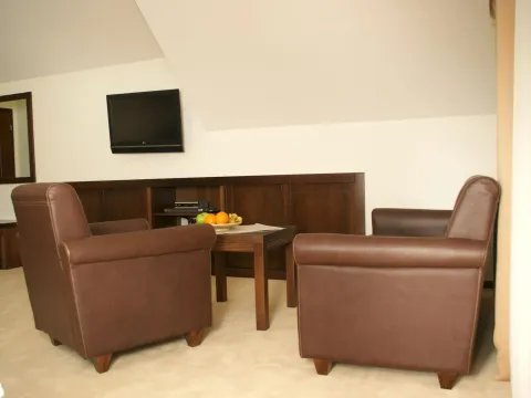 Prodaja, kuća, 1400m², Zlatibor, Srbija - image 19