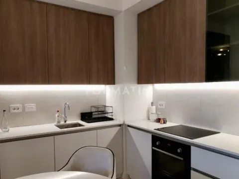 Izdavanje, dvosoban stan, 56m², Savski Venac, Beograd - image 4