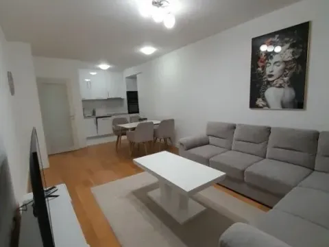 Izdavanje, jednosoban stan, 53m², Central Point, Podgorica - image 13