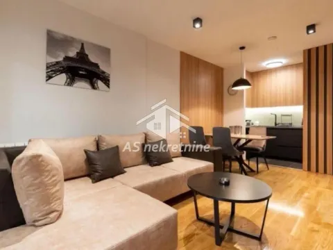 Izdavanje, dvosoban stan, 55m², Južni Bulevar, Vračar Sve Podlokacije - image 5