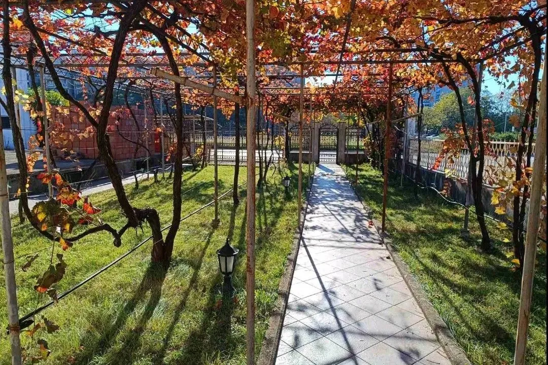 Rent, four bedroom apartment, 120m², Dalmatinska ulica, Podgorica