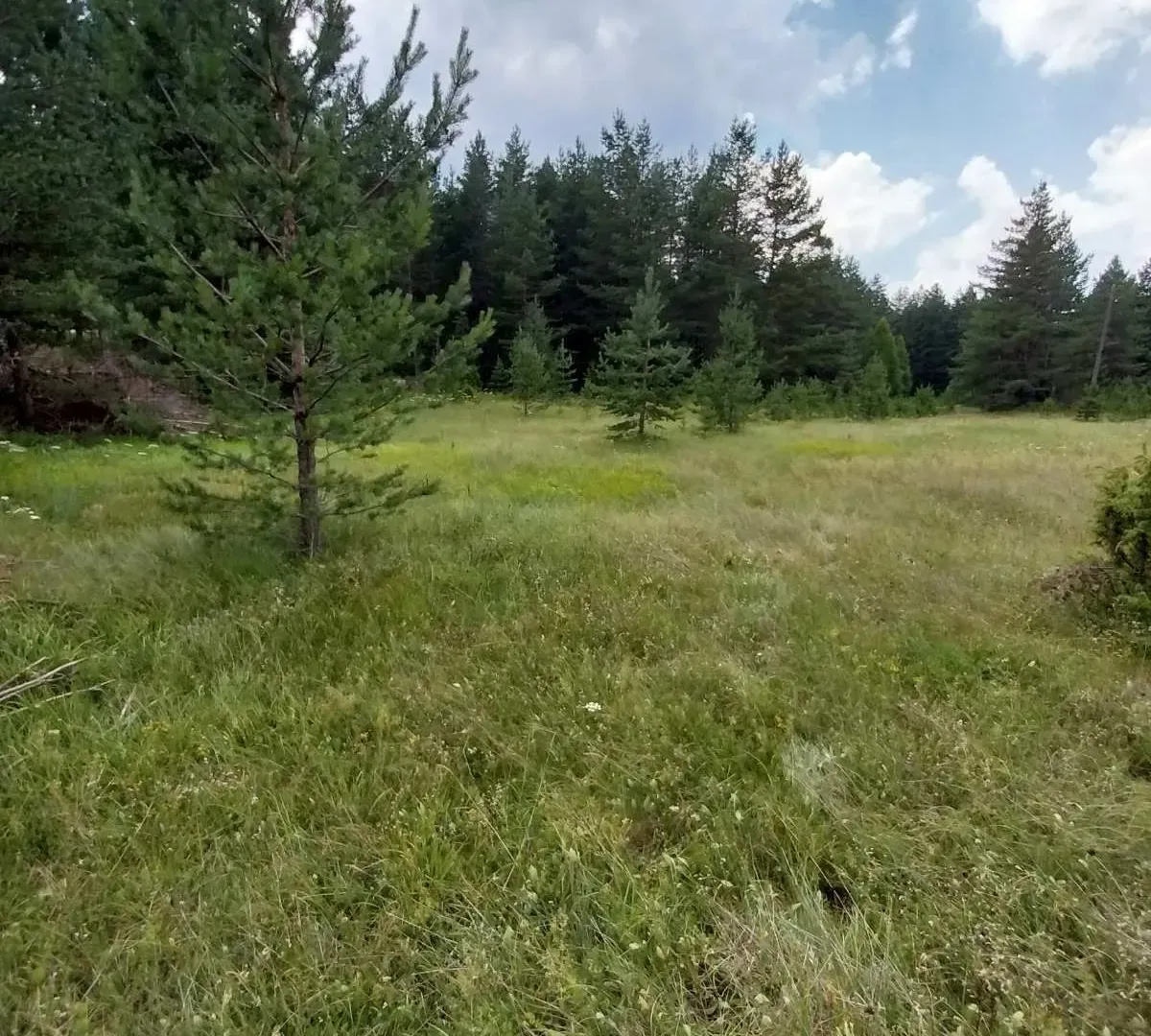 Prodaja, plac, 1600m², Žabljak, Crna Gora