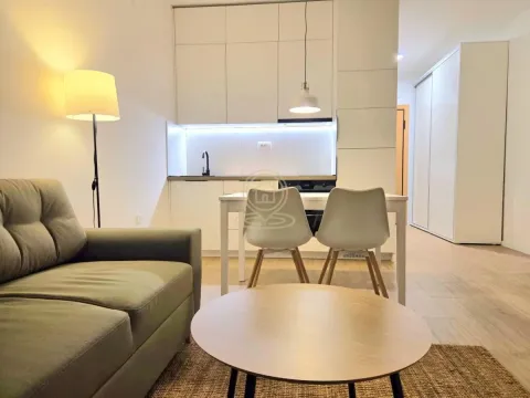 Izdavanje, garsonjera, 30m², Telep, Novi Sad Sve Podlokacije - image 2