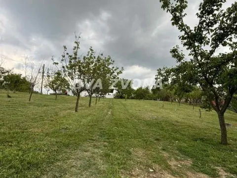 Prodaja, kuća, 95m², Irig, Srbija