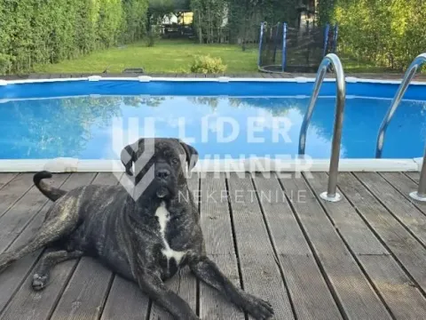 Prodaja, kuća, 340m², Zemun Ugrinovci, Zemun Sve Podlokacije - image 14